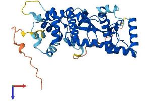 AlphaFold protein structure predicition of Human Recombinant HARBI1 Protein, UniprotID Q96MB7