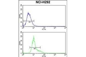 GSTO1 Antibody (Center) (ABIN389475 and ABIN2839537) flow cytometry analysis of NCI- cells (bottom histogram) compared to a negative control cell (top histogram). (GSTO1 anticorps  (AA 126-155))