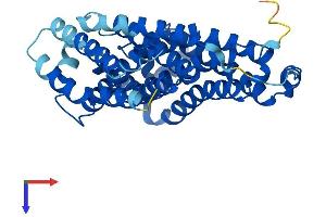 Transmembrane 6 Superfamily Member 1 (TM6SF1) (AA 1-370) protein (His tag)