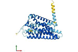 AlphaFold protein structure predicition of Human Recombinant OR51E2 Protein, UniprotID Q9H255