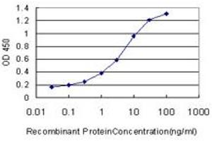 Detection limit for recombinant GST tagged DIAPH1 is approximately 0. (DIAPH1 anticorps  (AA 921-1024))