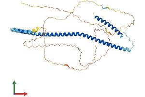 AlphaFold protein structure predicition of Human Recombinant CENPU Protein, UniprotID Q71F23