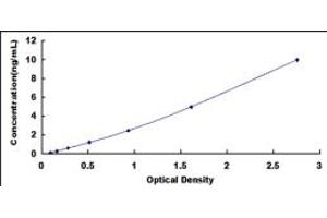 Typical standard curve