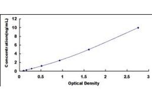 Typical standard curve (SRSF4 Kit ELISA)
