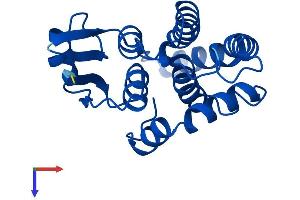AlphaFold protein structure predicition of Mouse Recombinant Hpgds Protein, UniprotID Q9JHF7