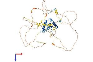 AlphaFold protein structure predicition of Mouse Recombinant Sox8 Protein, UniprotID Q04886
