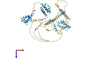 AlphaFold protein structure predicition of Mouse Recombinant Sugp1 Protein, UniprotID Q8CH02