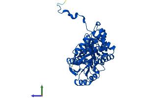 AlphaFold protein structure predicition of Human Recombinant AGXT Protein, UniprotID P21549