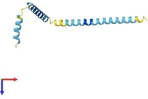 AlphaFold protein structure predicition of Mouse Recombinant G0s2 Protein, UniprotID Q61585