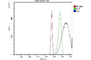 Flow Cytometry analysis of A431 cells using anti-IPP antibody (ABIN7599490). (IPP anticorps  (AA 1-584))