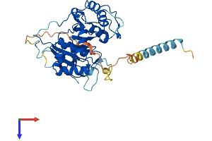 AlphaFold protein structure predicition of Mouse Recombinant St3gal2 Protein, UniprotID Q11204