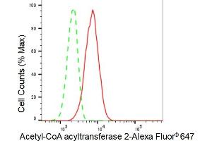 Flow cytometric analysis of Acetyl-CoA acyltransferase 2 expression in C2C12 cells using Acetyl-CoA acyltransferase 2 antibody (ABIN7797441), 1:2,000).