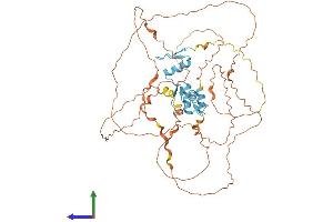 AlphaFold protein structure predicition of Human Recombinant KLF4 Protein, UniprotID O43474