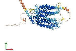 AlphaFold protein structure predicition of Mouse Recombinant Mfsd2a Protein, UniprotID Q9DA75