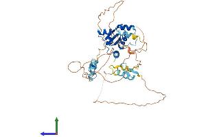 AlphaFold protein structure predicition of Human Recombinant ZBTB25 Protein, UniprotID P24278