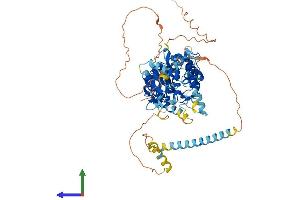 AlphaFold protein structure predicition of Human Recombinant KIF22 Protein, UniprotID Q14807