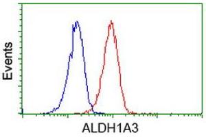 Flow Cytometry (FACS) image for anti-Aldehyde Dehydrogenase 1 Family, Member A3 (ALDH1A3) (AA 1-100), (AA 413-512) antibody (ABIN2715887) (ALDH1A3 anticorps  (AA 1-100, AA 413-512))