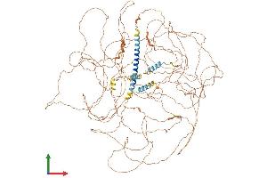AlphaFold protein structure predicition of Mouse Recombinant Mn1 Protein, UniprotID D3YWE6