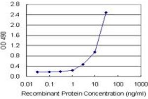 Sandwich ELISA detection sensitivity ranging from 1 ng/mL to 100 ng/mL.