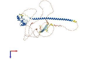 AlphaFold protein structure predicition of Mouse Recombinant Rnf168 Protein, UniprotID Q80XJ2