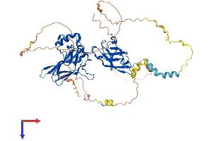 AlphaFold protein structure predicition of Human Recombinant RELA Protein, UniprotID Q04206