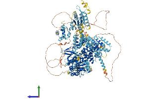 AlphaFold protein structure predicition of Human Recombinant MAP3K5 Protein, UniprotID Q99683