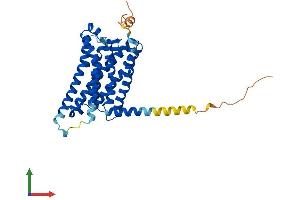 AlphaFold protein structure predicition of Mouse Recombinant Mtnr1a Protein, UniprotID Q61184