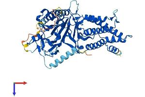 AlphaFold protein structure predicition of Human Recombinant FTO Protein, UniprotID Q9C0B1