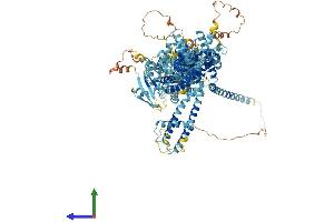 AlphaFold protein structure predicition of Human Recombinant TRPM5 Protein, UniprotID Q9NZQ8