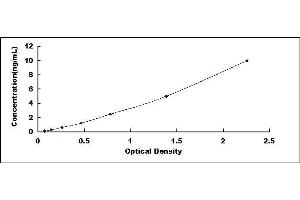 Typical standard curve (WNT3 Kit ELISA)