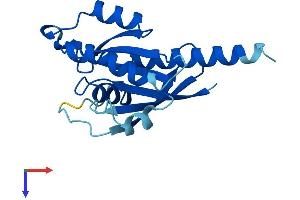 AlphaFold protein structure predicition of Mouse Recombinant Ift27 Protein, UniprotID Q9D0P8