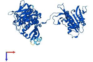 AlphaFold protein structure predicition of Human Recombinant FARSB Protein, UniprotID Q9NSD9