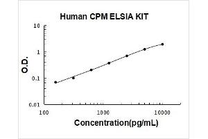 Carboxypeptidase M (CPM) ELISA Kit