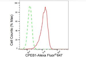 Flow cytometric analysis of CPEB1 expression in HepG2 cells using CPEB1 antibody (ABIN7798266), 1:2,000).