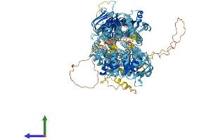 AlphaFold protein structure predicition of Human Recombinant ABCC12 Protein, UniprotID Q96J65
