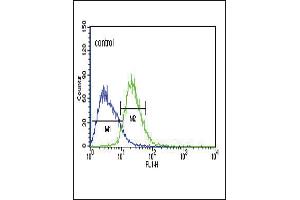 TXTP Antibody (Center) (ABIN651680 and ABIN2840357) flow cytometric analysis of Jurkat cells (right histogram) compared to a negative control cell (left histogram). (TXTP anticorps  (AA 142-170))
