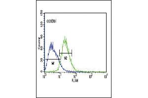 TXTP Antibody (Center) (ABIN651680 and ABIN2840357) flow cytometric analysis of Jurkat cells (right histogram) compared to a negative control cell (left histogram). (TXTP anticorps  (AA 142-170))