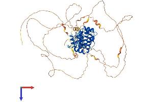 AlphaFold protein structure predicition of Human Recombinant OGFR Protein, UniprotID Q9NZT2