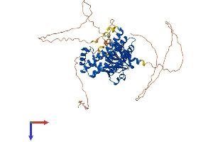 AlphaFold protein structure predicition of Mouse Recombinant Net1 Protein, UniprotID Q9Z206