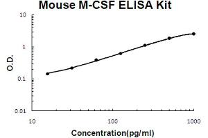 Mouse M-CSF Accusignal ELISA Kit Mouse M-CSF AccuSignal ELISA Kit standard curve. (M-CSF/CSF1 Kit ELISA)