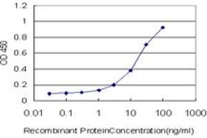 Detection limit for recombinant GST tagged SMO is approximately 0. (SMO anticorps  (AA 56-155))