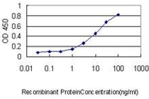 Detection limit for recombinant GST tagged NOTCH2NL is approximately 0. (NOTCH2NL anticorps  (AA 1-236))
