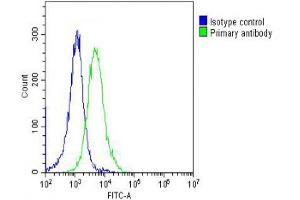 Overlay histogram showing Hela cells stained with Antibody (green line). (PPIB anticorps  (AA 161-195))