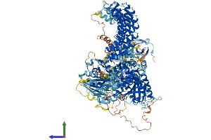 AlphaFold protein structure predicition of Mouse Recombinant Dapk1 Protein, UniprotID Q80YE7