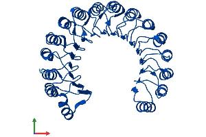 AlphaFold protein structure predicition of Mouse Recombinant Rnh1 Protein, UniprotID Q91VI7