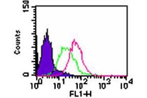 Intracellular flow analysis of Tlr3 in Balb/c mouse splenocytes. (TLR3 anticorps  (AA 135-150))