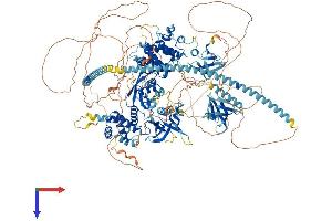 AlphaFold protein structure predicition of Mouse Recombinant Plekhh2 Protein, UniprotID Q8C115
