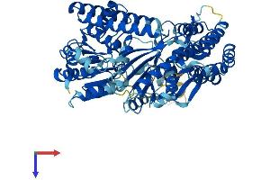 AlphaFold protein structure predicition of Mouse Recombinant Dhx58 Protein, UniprotID Q99J87