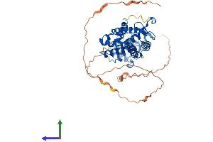 AlphaFold protein structure predicition of Human Recombinant HNF4A Protein, UniprotID P41235