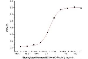 ELISA image for V-Set Domain Containing T Cell Activation Inhibitor 1 (VTCN1) (Active) protein (Biotin) (ABIN7319876)